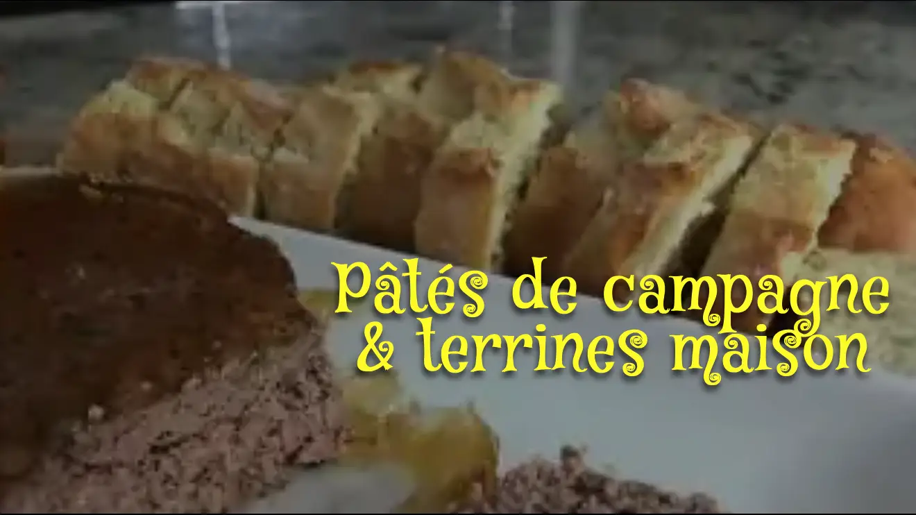 Patés de campagne & terrines - Gina Astuces et Cuisine